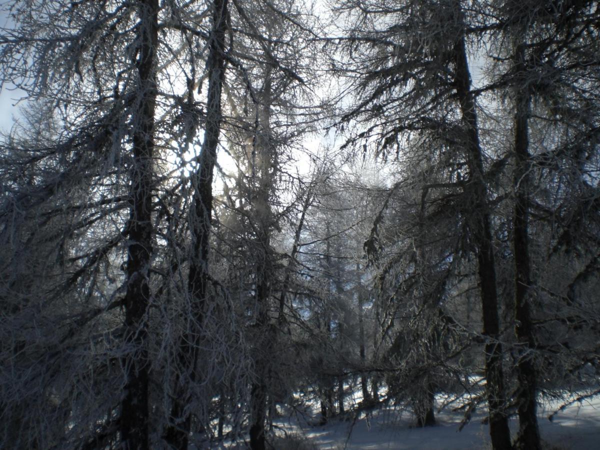 T3 Coquet Et Lumineux Aux Pieds Des Pistes Leilighet Ancelle Eksteriør bilde